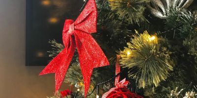 ¡Os deseamos Felices Fiestas!